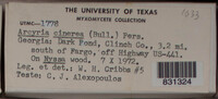 Image Associated With the Occurence